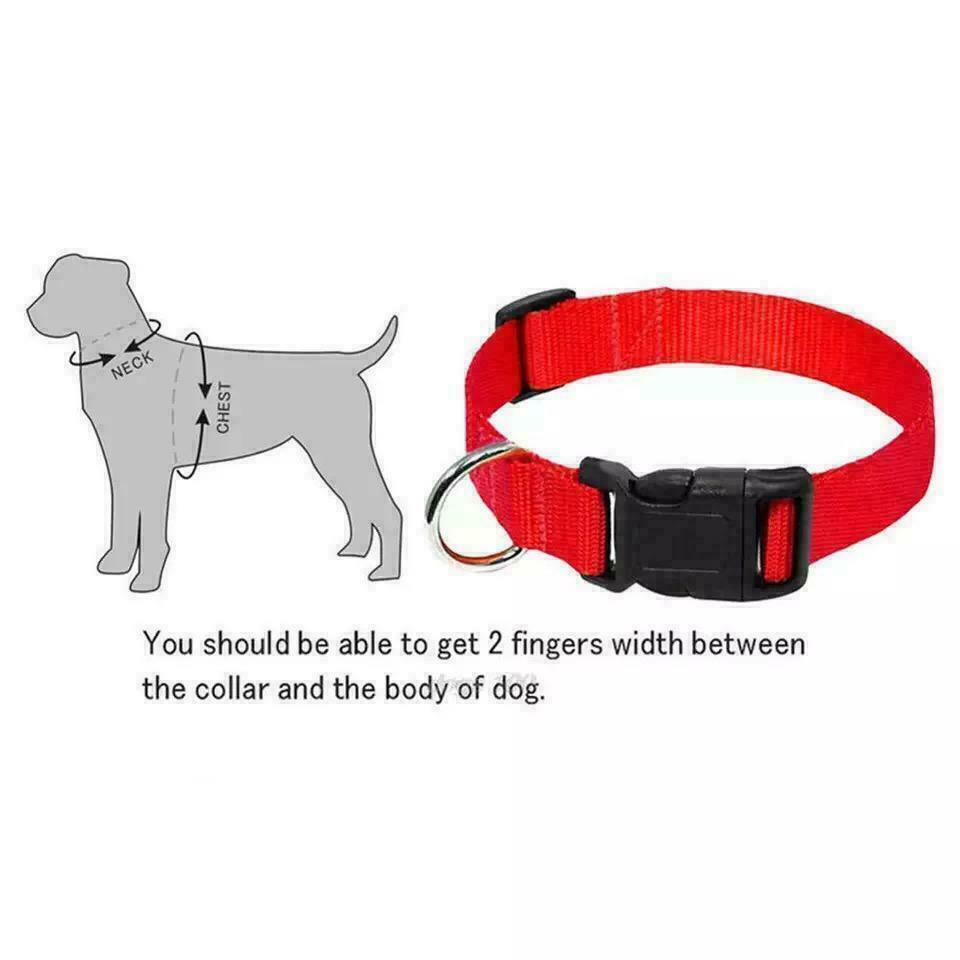 Dog Collar Nylon Adjustable Soft Pet Puppy Collars 5 Colour 5Size Accessories UK